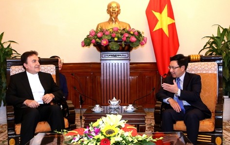 Deputi PM Vietnam, Pham Binh Minh menerima Dubes Iran, Saleh Adibi  - ảnh 1