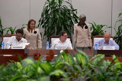 Pemerintah Kolombia dan FARC mengumumkan isi permufakatan damai baru - ảnh 1