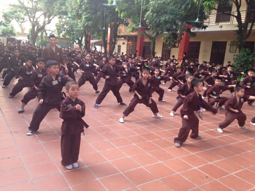 Mengunjungi satu kursus main silat di pagoda Bang A, kota Hanoi - ảnh 4