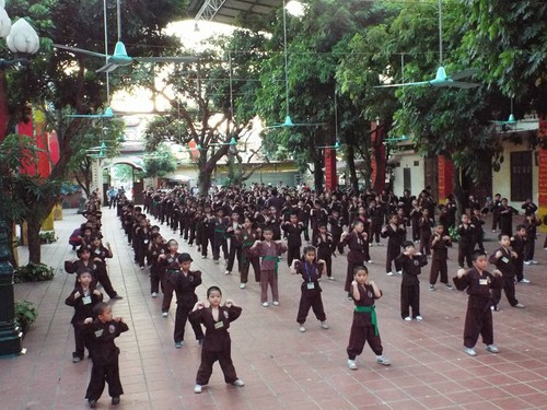 Mengunjungi satu kursus main silat di pagoda Bang A, kota Hanoi - ảnh 3