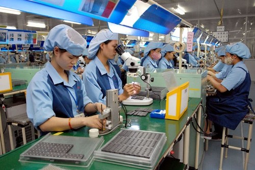 Mendorong badan usaha eksportir Vietnam berkembang secara berkesinambungan - ảnh 1