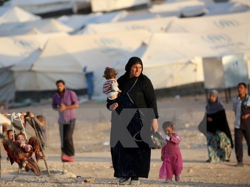 Sebanyak 125.000 warga sipil Irak kehilanggan rumah di kota Mosul - ảnh 1