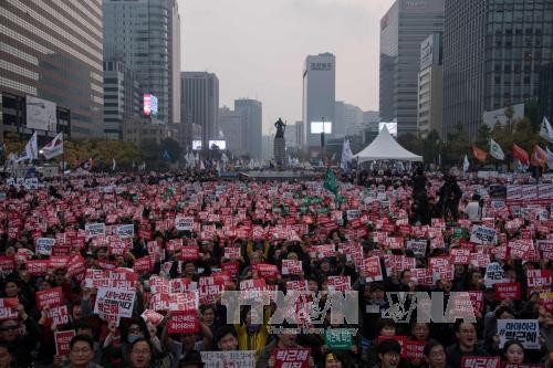 Terus terjadi demonstrasi-demonstrasi untuk memprotes dan mendukung Presiden Park Guen-hye - ảnh 1