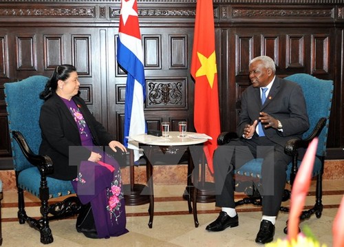 Vietnam dan Kuba bertekad mempererat hubungan antara dua badan parlemen - ảnh 1
