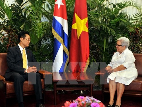 Wapres Kuba percaya bahwa hubungan Kuba-Vietnam akan berkembang mantap - ảnh 1