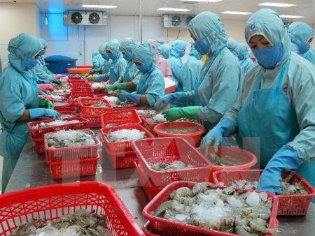 Perikanan Vietnam menuju ke target meningkatkan nilai ekspor udang - ảnh 1