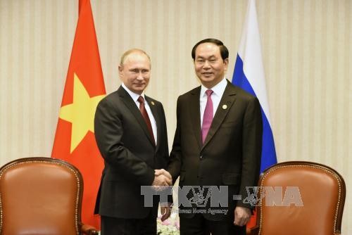  Presiden Vietnam, Tran Dai Quang mengirim surat ucapan terima kasih atas bantuan Rusia kepada Vietnam dalam mengatasi akibat taufan Damrey - ảnh 1