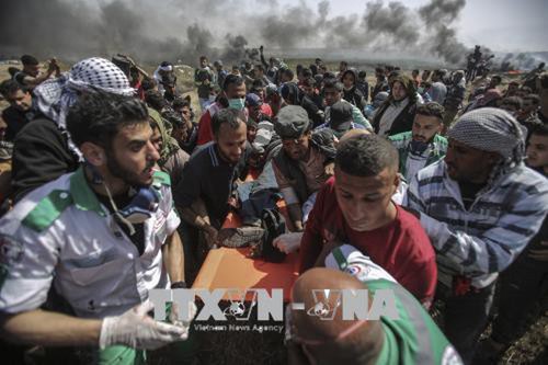 Kekerasan  terjadi lagi di sepanjang garis perbatasan Jalur Gaza-Israel - ảnh 1