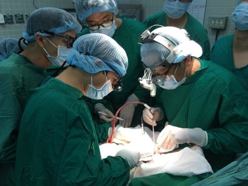 Prestasi luar biasa dari pencangkokan organ tubuh manusia lintas Vietnam - ảnh 1