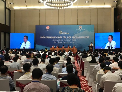 Mengidentifikasi berbagai peluang dan tantangan dalam mengembangkan ekonomi koperasi di Vietnam - ảnh 1