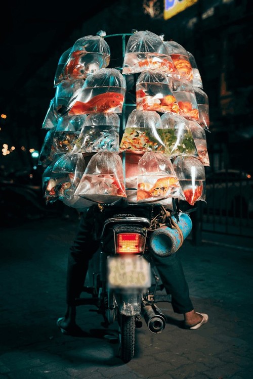 Foto karya fotografer Inggris tentang sepeda motor yang menjajakan ikan hias di Vietnam meraih hadiah di AS - ảnh 2