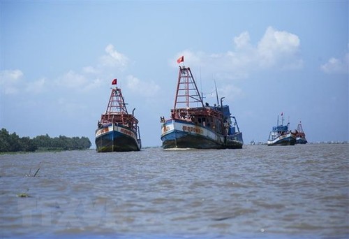 Asosiasi Perikanan Vietnam memprotes Status melarang penangkapan ikan di Laut Timur yang dikeluarkan Tiongkok - ảnh 1