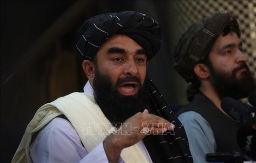Taliban Konfirmasikan Perundingan dengan AS Akan Diadakan Kembali di Doha - ảnh 1