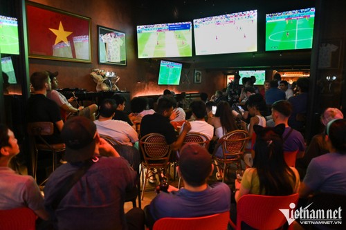 Memperkenalkan Suasana World Cup 2022 di Vietnam dan Pariwisata di Daerah Dataran Rendah Sungai Mekong di Vietnam - ảnh 1