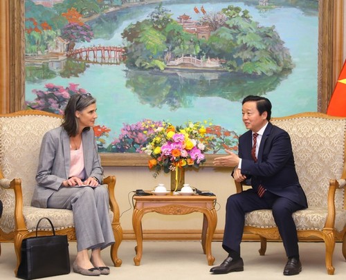 Deputi PM Vietnam, Tran Hong Ha Menerima Kepala Perwakilan UNDP dan Direktur USAID di Vietnam - ảnh 1