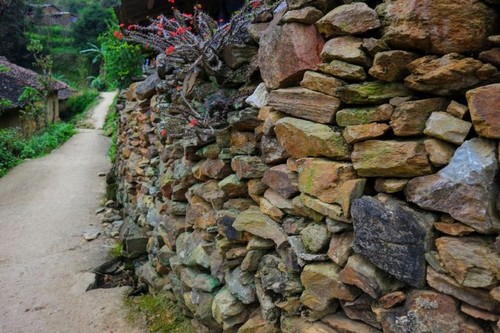 Menjelajahi Desa Kuno Thien Huong, Provinsi Ha Giang - ảnh 6