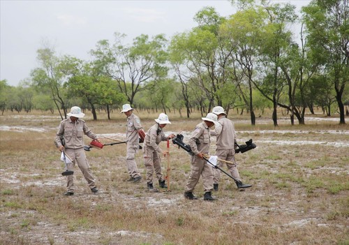 Provinsi Quang Nam Perkuat Koordinasi dengan VVA untuk Mengatasi Akibat Perang - ảnh 1