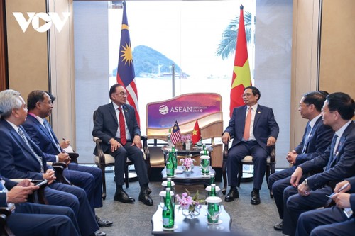 PM Malaysia Melakukan Kunjungan Resmi di Vietnam: Membawa Hubungan Bilateral Menjadi Intensif dan Ekstensif - ảnh 1