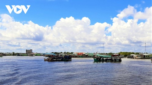 Komisi Eropa Mengapresiasi Upaya Vietnam dalam Perubahan Perikanan yang Bertanggung Jawab - ảnh 1