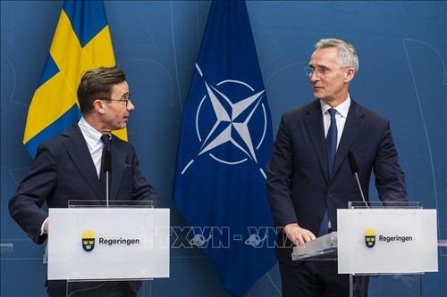 Turki Sahkan Surat Permintaan Swedia untuk Bergabung dalam NATO - ảnh 1
