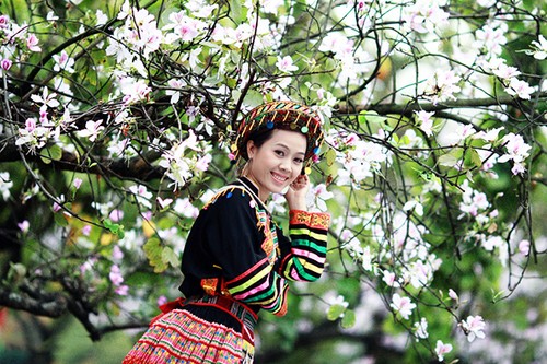 Perkenalan Bunga Ban dan Festival Tradisional di Vietnam - ảnh 1