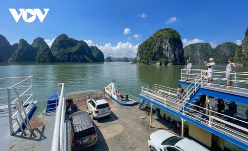 Teluk Ha Long - Kepulauan Cat Ba: Warisan Alam Dunia Antar Provinsi dan Kota yang Pertama di Vietnam - ảnh 10