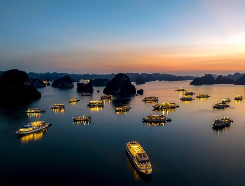 Teluk Ha Long - Kepulauan Cat Ba: Warisan Alam Dunia Antar Provinsi dan Kota yang Pertama di Vietnam - ảnh 6