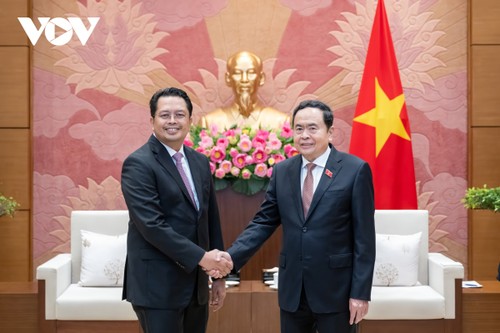 Ketua MN Vietnam, Tran Thanh Man Menerima Wakil Ketua DPD RI Mahyudin - ảnh 1