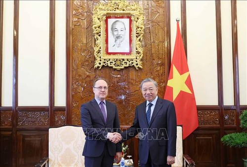 Presiden Vietnam, To Lam Menerima Dubes Federasi Rusia untuk Vietnam - ảnh 1