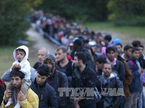 EU starts returning refugees to Greece - ảnh 1