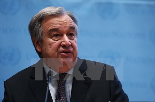 COP 23: UN chief urges further efforts on climate change - ảnh 1