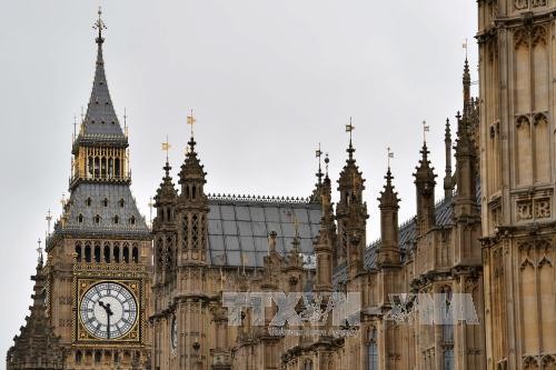 UK to review Brexit bill - ảnh 1