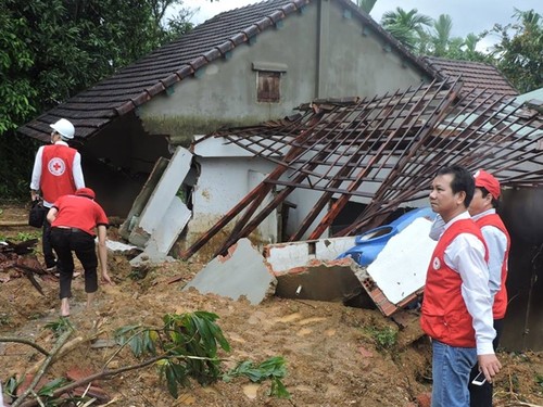 European Union helps typhoon Damrey victims in Vietnam - ảnh 1