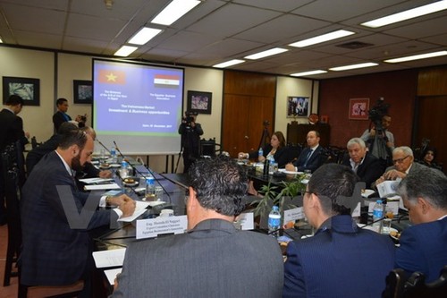 Egyptian firms updated on Vietnam’s investment policy  - ảnh 1