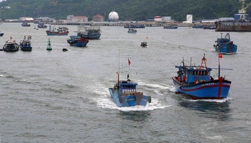 Vietnam revises law to incorporate EU recommendations on fighting IUU fishing  - ảnh 1
