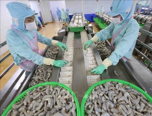 US removes anti-dumping duty on Minh Phu frozen shrimp - ảnh 1