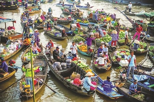 Can Tho promotes green tourism at Cai Rang Floating Market - ảnh 1