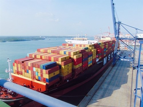 Cai Mep-Thi Vai port receives giant container vessel - ảnh 1