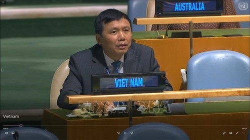 Vietnam pledges to promote role of UN Charter, international law - ảnh 1