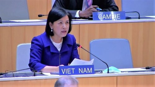 Ambassador affirms Vietnam’s consistent policy on promoting human rights - ảnh 1