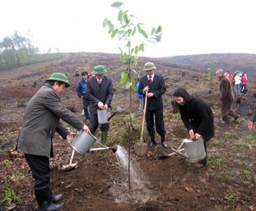 Праздник посадки деревьев в провинции Футхо - ảnh 2