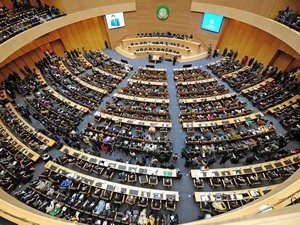 В Африке не смогли избрать главу Комиссии Африканского союза - ảnh 1