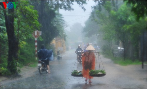 Дожди в бывшей столице Хюэ - ảnh 8