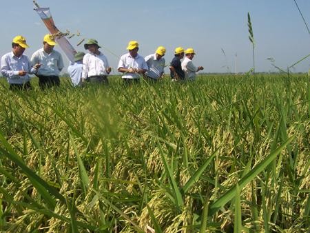 Активизация развития модели больших полей в сельскохозяйственном производстве - ảnh 4