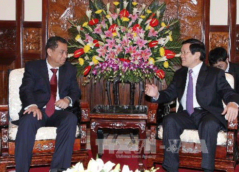 Министр энергетики Брунея находится во Вьетнаме с визитом - ảnh 1