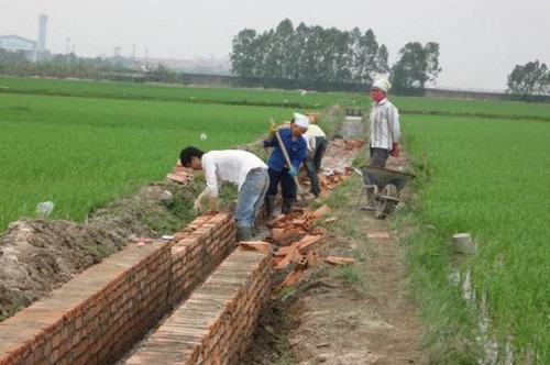 Мобилизация людских ресурсов на строительство новой деревни в пригороде Ханоя - ảnh 2