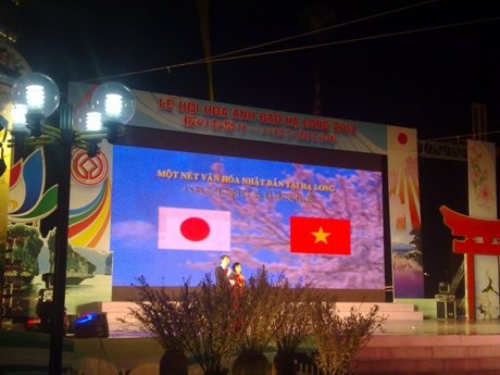 Во вьетнамском городе Халонге открылся праздник цветущей сакуры - ảnh 1