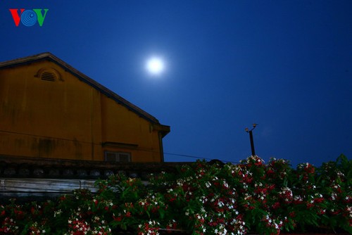 Древний город Хойан в летнюю лунную ночь - ảnh 4