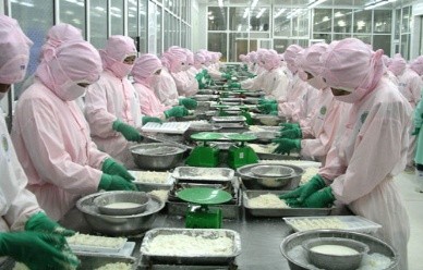 Объем экспорта морепродуктов Вьетнама в мае составляет около $500 млн - ảnh 1