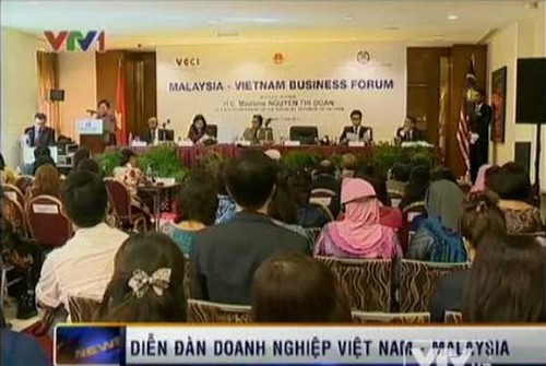 В Куала-Лумпуре состоялся вьетнамо-малайзийский бизнес-форум - ảnh 1
